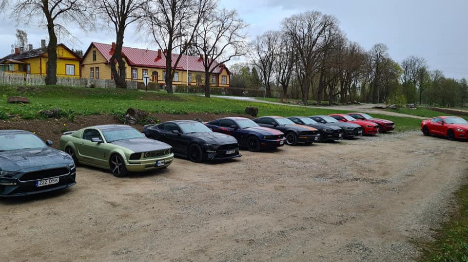 Eesti Mustangi Klubi, Meet 'n greet